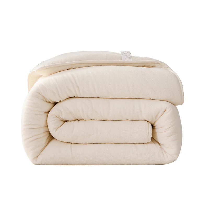 春秋被7斤棉花被加厚冬被单人双人学生宿舍被芯棉花褥子盖垫通用