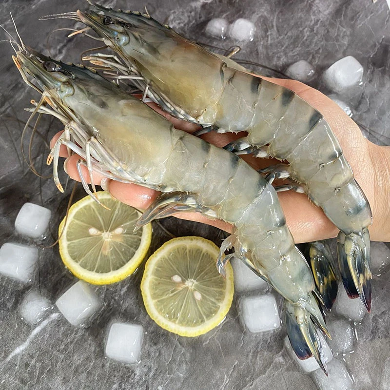 黑虎虾16-20大虾鲜活超大冷冻海鲜海虾新鲜原装活虾低温锁鲜保存