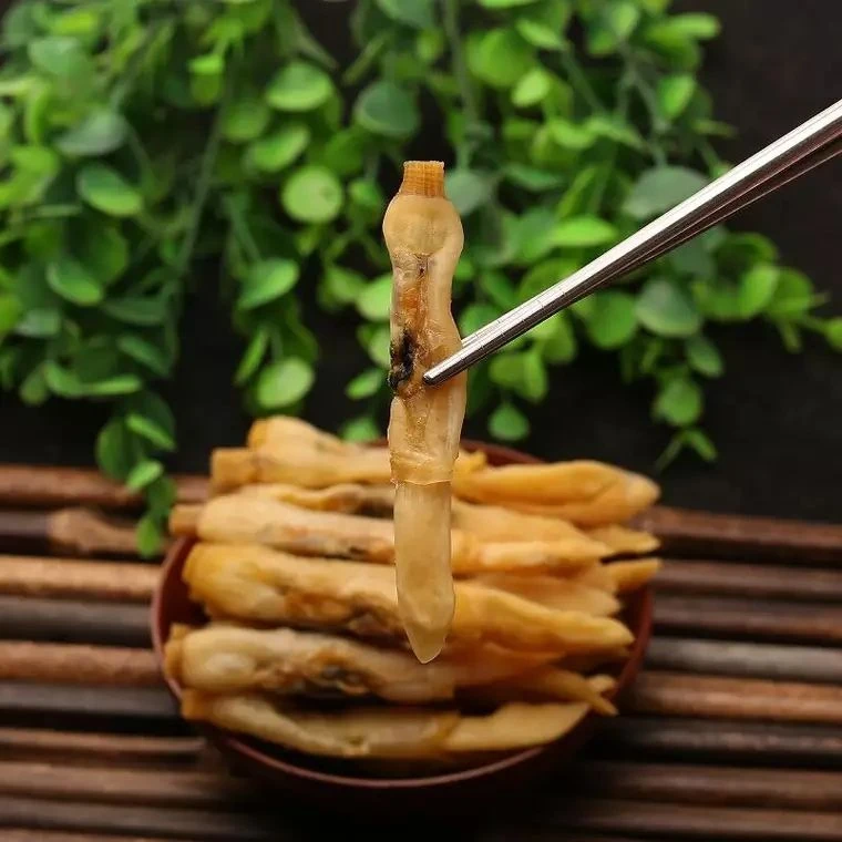 【新货大号】海蛏生鲜蛏王肉鲜活蛏干即食莆田蛏子肉干野生蛏蛏干