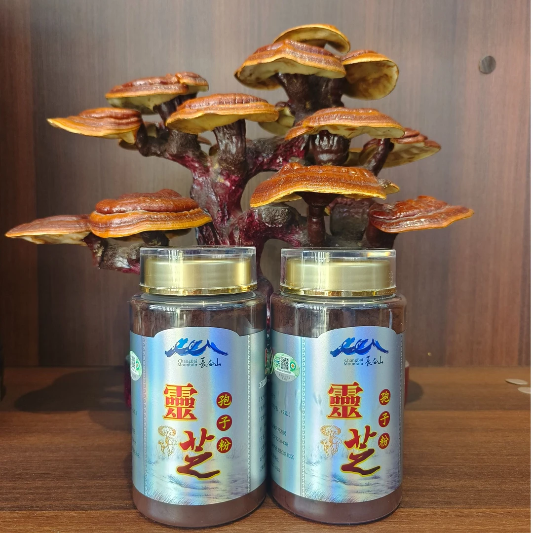 大白长白山有机赤灵芝孢子粉一斤