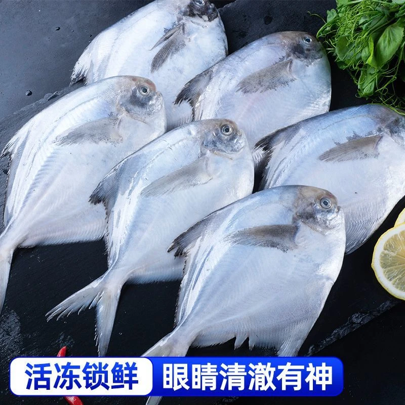 《抖昌鱼福利》新鲜速冻鲳鱼 肉质鲜嫩肥美 没有小刺杂刺