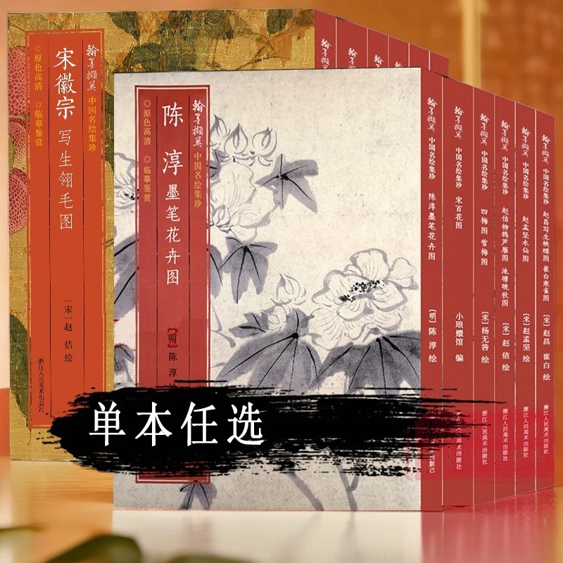 中国名绘集珍陈淳墨笔花卉图赵孟坚水仙图宋百花图金农水墨花卉册