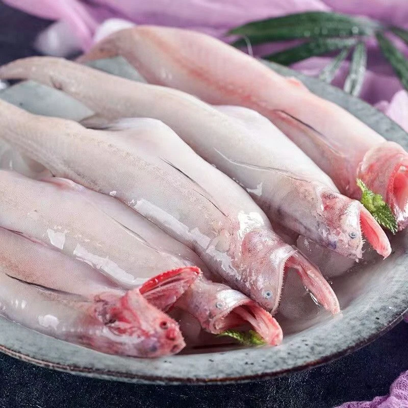 广东汕尾本港生鲜豆腐鱼