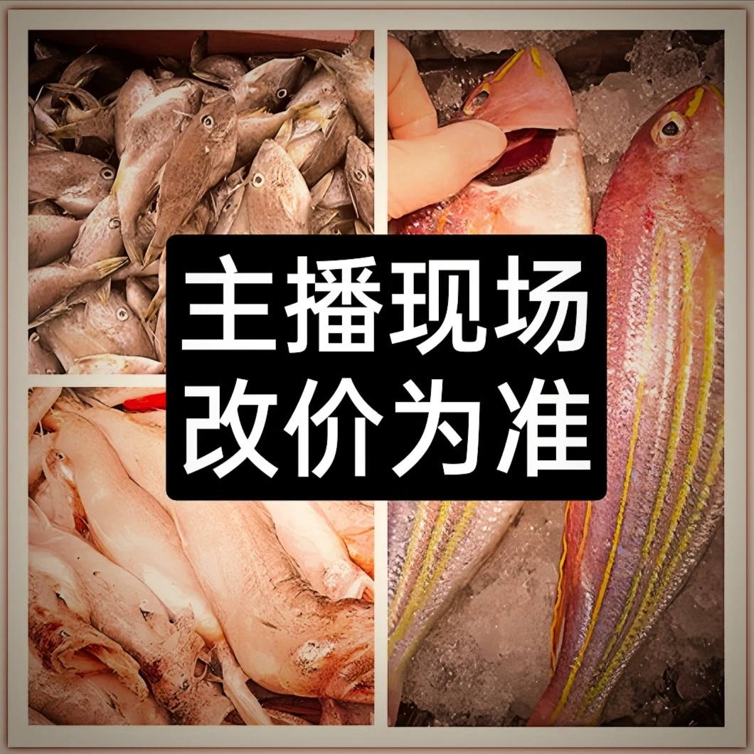 广东汕尾生鲜杂鱼