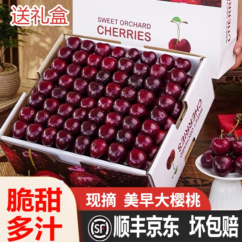 烟台大樱桃2/3斤直销新鲜水果特大jjj多汁国产车厘子采摘批发中国