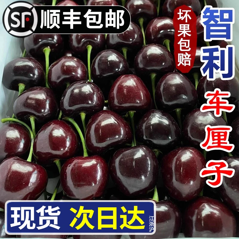 【脆甜】智利车厘子海运新鲜水果进口大樱桃KG礼盒1-4J 内附果径卡