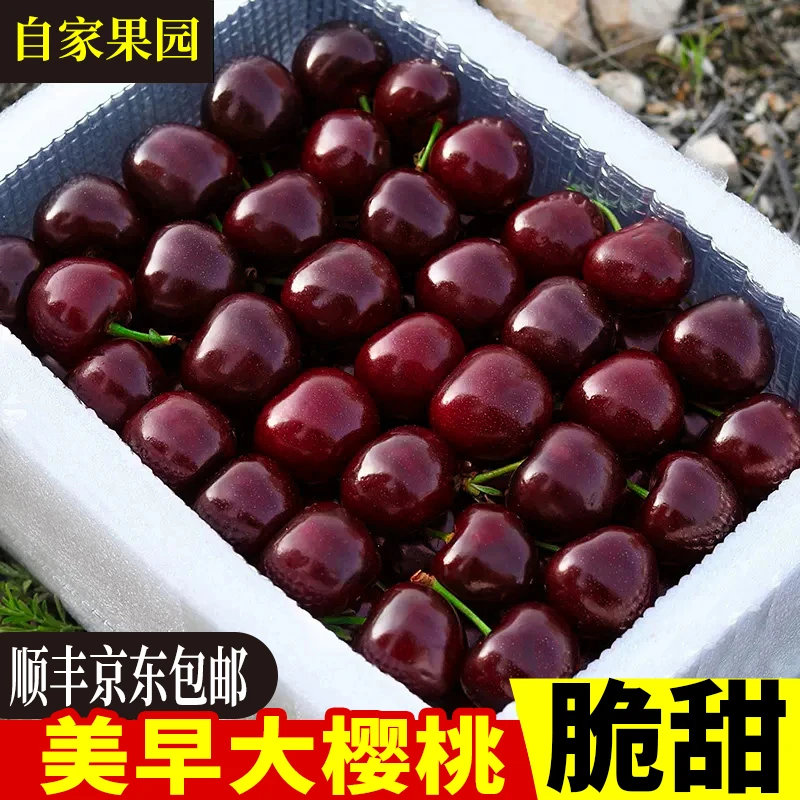 【美早-9.5分甜】山东烟台大樱桃车厘子新鲜水果应季批发直销国产