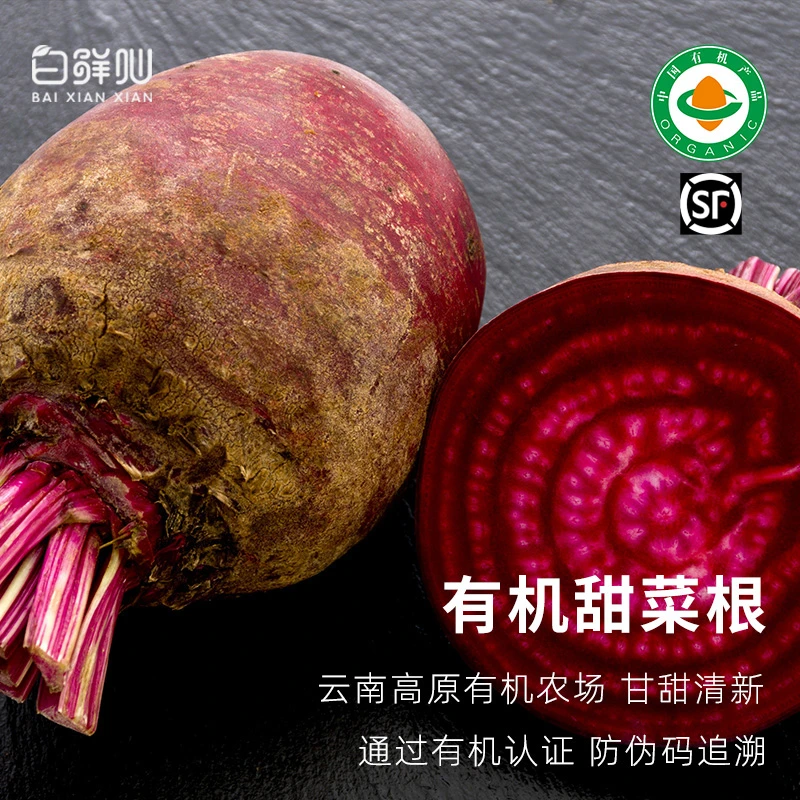 有机甜菜根甜菜头红菜头真正纯有机蔬菜榨汁现挖云南正宗产地配送