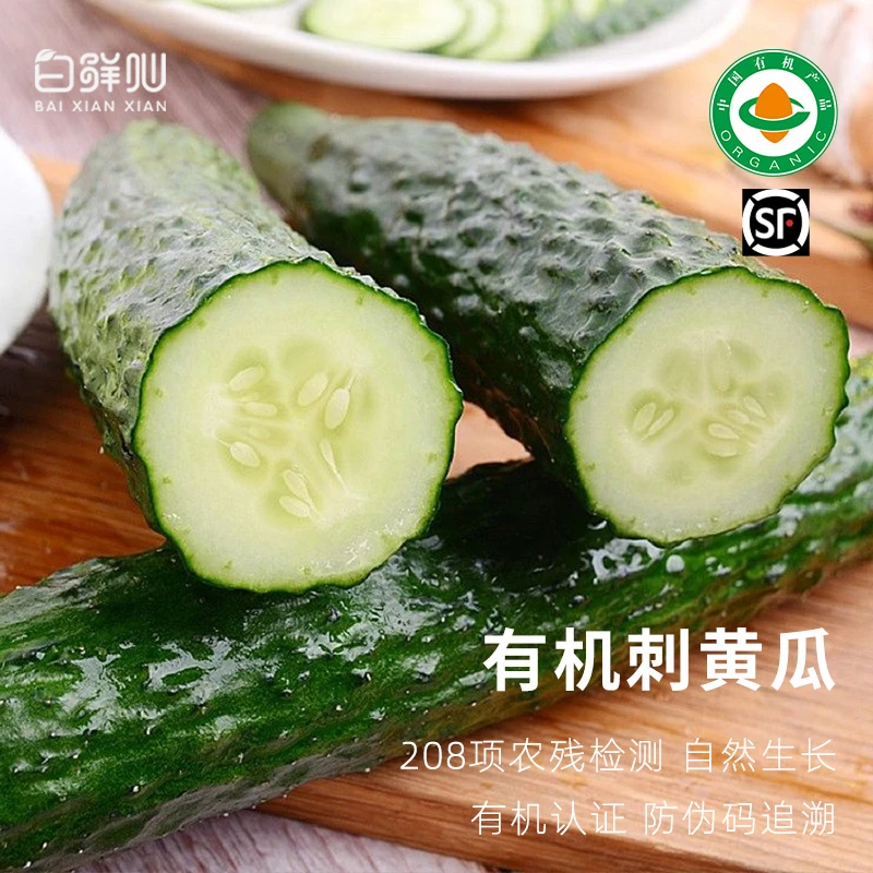 有机黄瓜带刺生吃沙拉食材轻食无农药有机认证新鲜有机蔬菜2500g