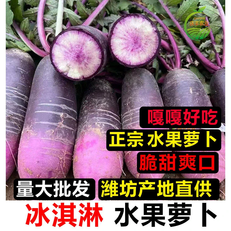 2025新拔正宗紫玉冰淇淋萝卜紫心水果萝卜脆甜坏果包赔冰激凌萝卜