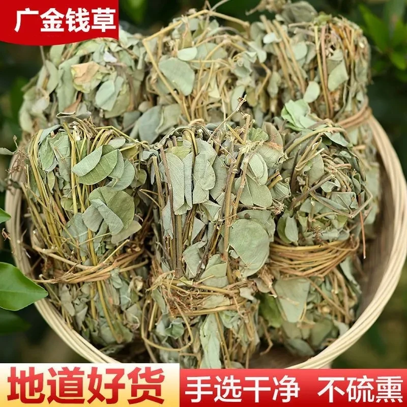 【精选】金钱草101g/501g广西正宗食用金钱草精选金钱草