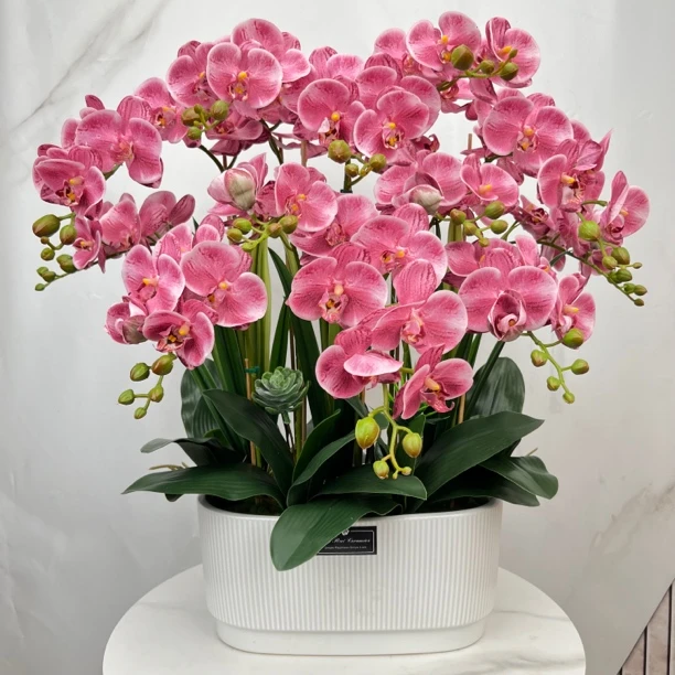 太真了假花仿真花手感保湿蝴蝶兰居家装饰吧台摆放浪漫清新小兰花