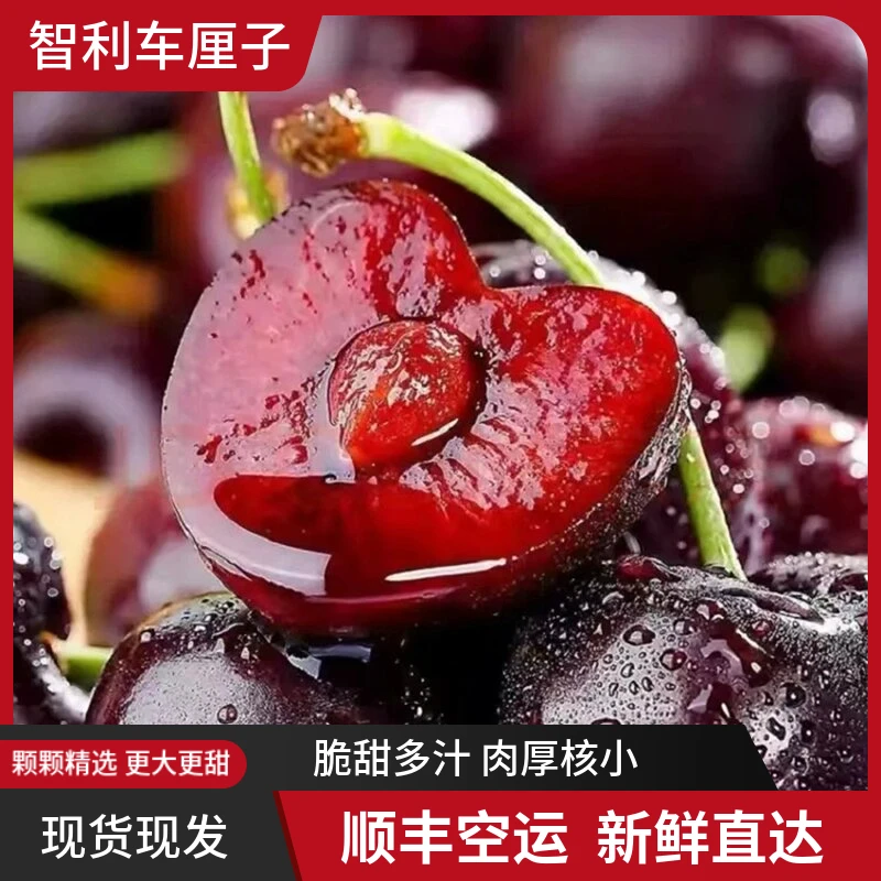 A2智利进口车厘子J-4J 新鲜水果 顺丰空运