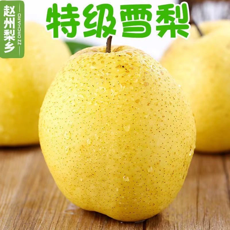 【冰糖雪梨】新鲜冰糖雪花梨5斤9斤非皇冠梨整箱批发包邮脆甜多汁甜