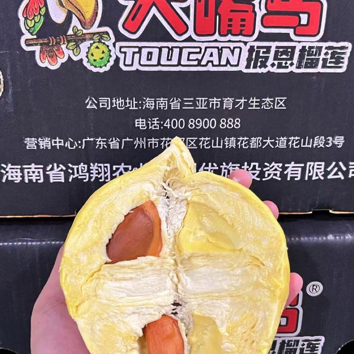 【东北快递】大嘴鸟空运树熟金枕榴莲10.20