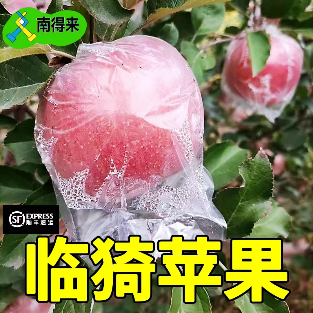 【南得来】顺丰山西临猗红富士苹果冰糖心脆甜多汁净重8.5斤原产地