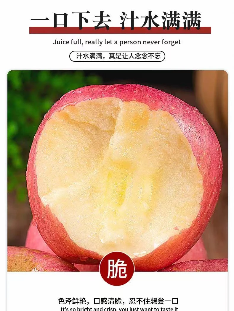 红红的苹果很好吃  应季水果苹果