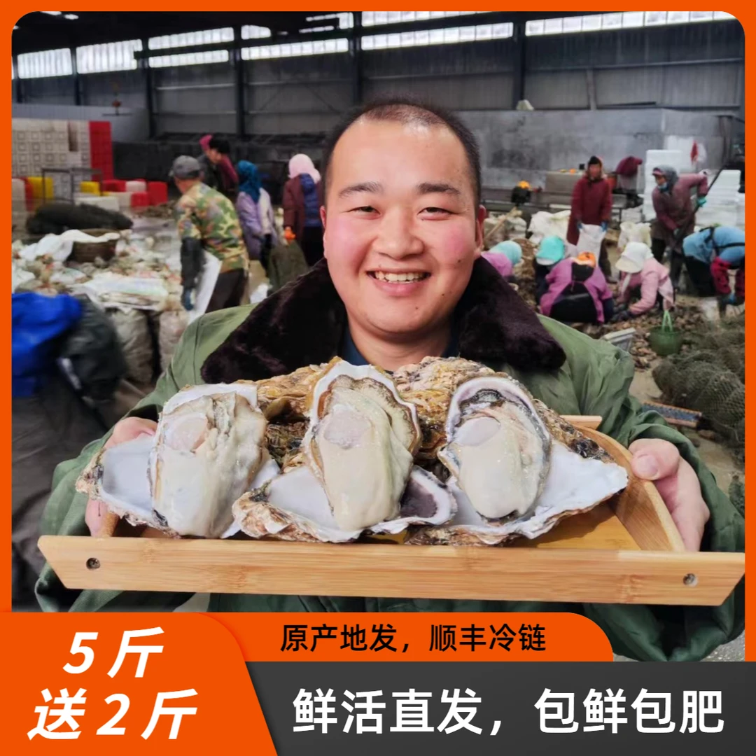 【鲜活生蚝】买5斤+2斤装原产地直发新鲜牡蛎海蛎子特大号生蚝