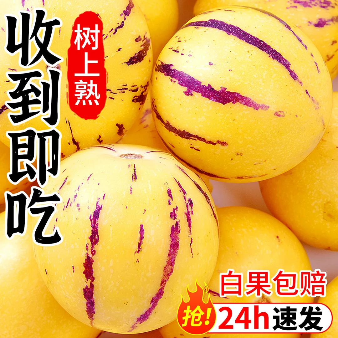 云南石林人参果新鲜新鲜当季水果整箱树上熟人叁果黄肉人生果大果