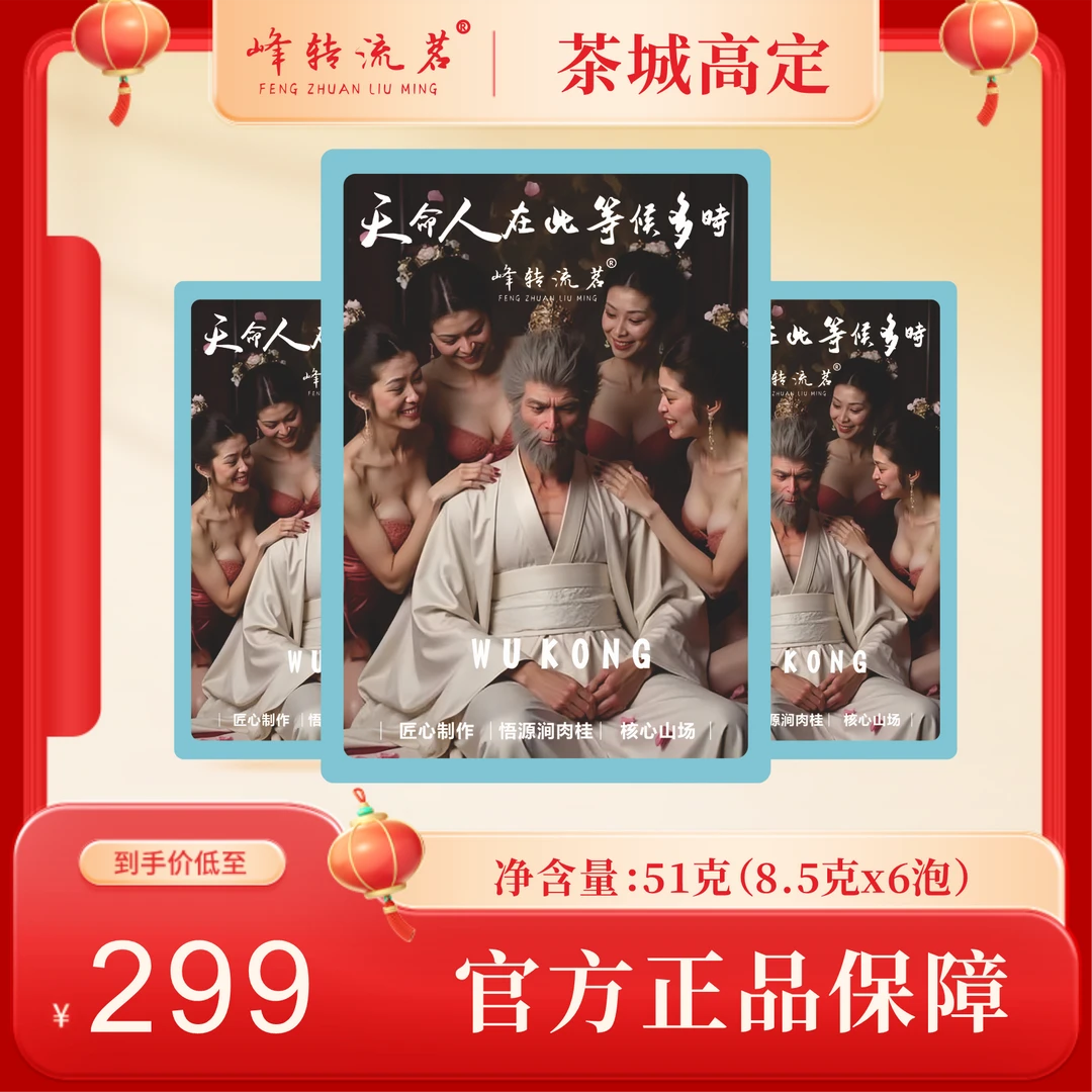 武夷岩茶天命人在此等候多时6泡铁盒装