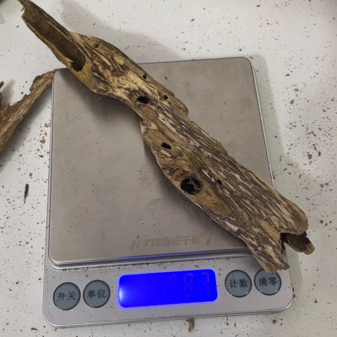 沉香海南沉香虫漏料子10.8克