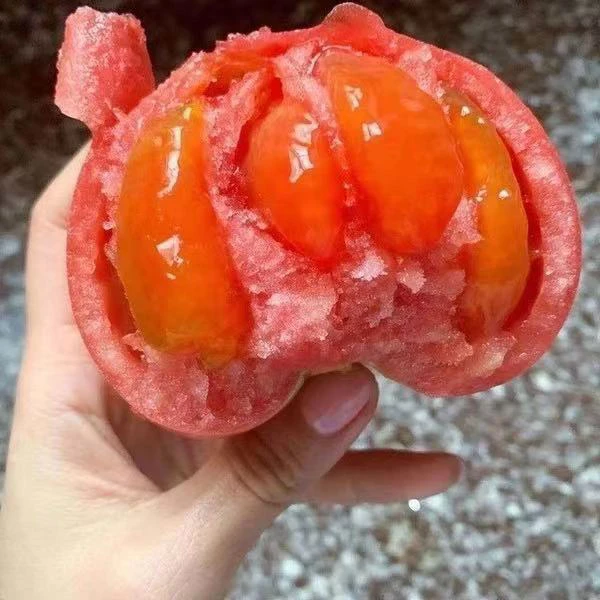 【京东快递】陕西泾阳普罗旺斯西红柿新鲜番茄沙瓤草莓心西红柿