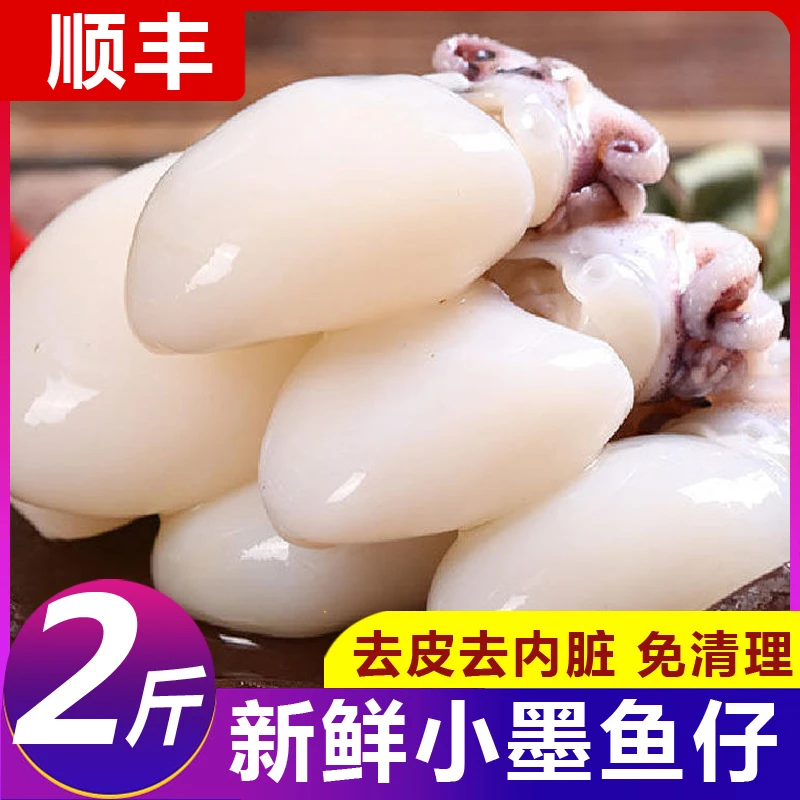 新鲜墨鱼仔生鲜冷冻目鱼仔商用捞汁海鲜鲜活火锅批小鱿鱼海鲜