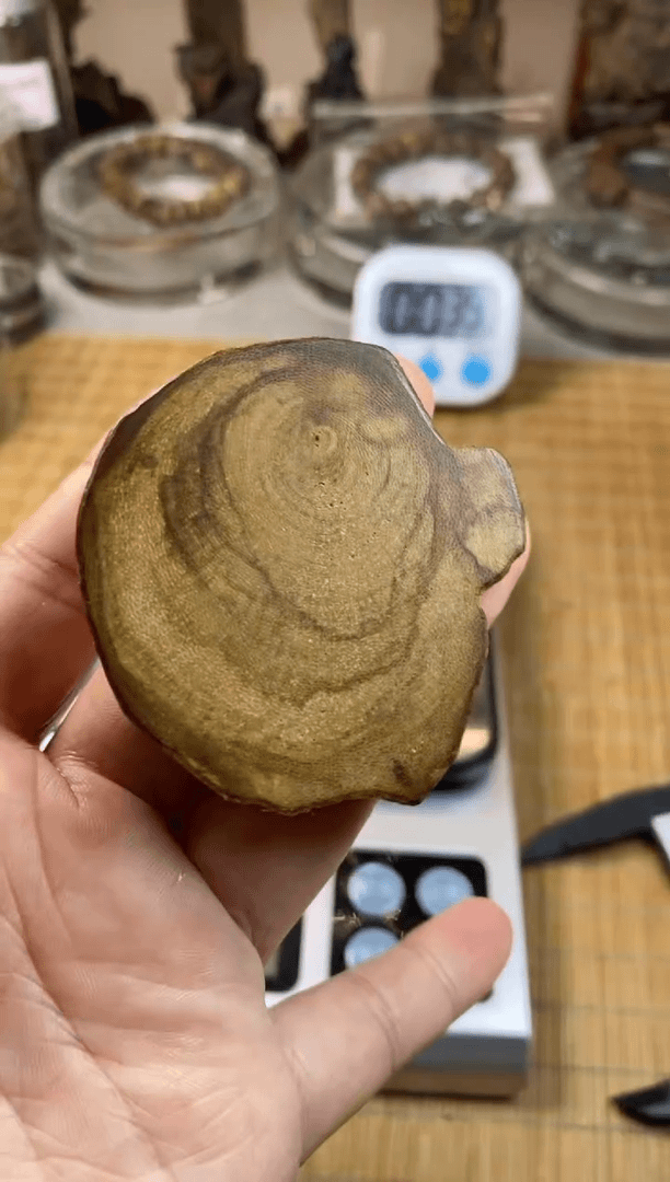 【闪购商品】达拉干