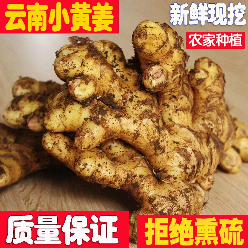 正宗云南小黄姜生姜土姜月子姜新姜老姜新鲜现挖5斤包邮当季现货