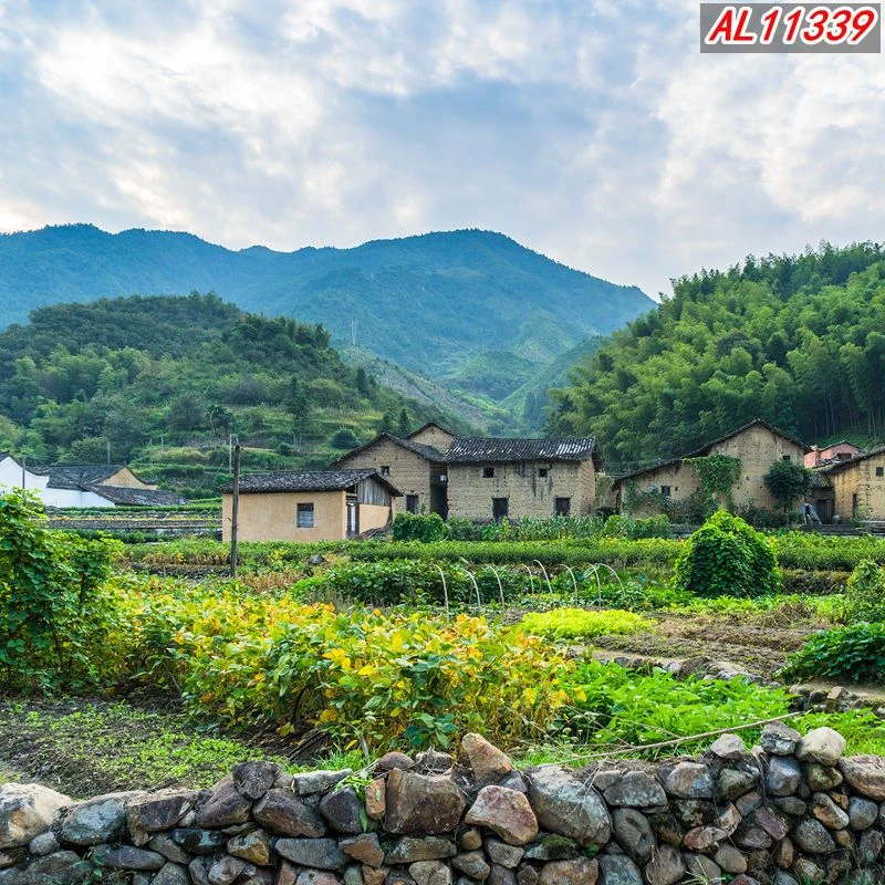 主播背景布直播间农村砖房抖音网红3d立体山水田园视频背景墙挂