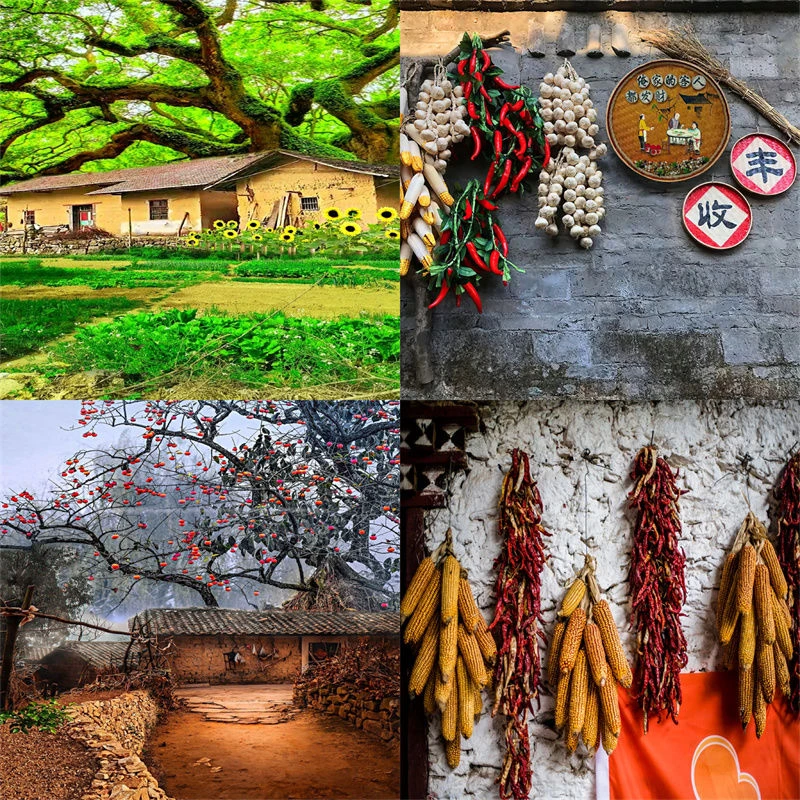 农村风格直播背景布网红主播直播带货农产品秋收直播间装饰背景布