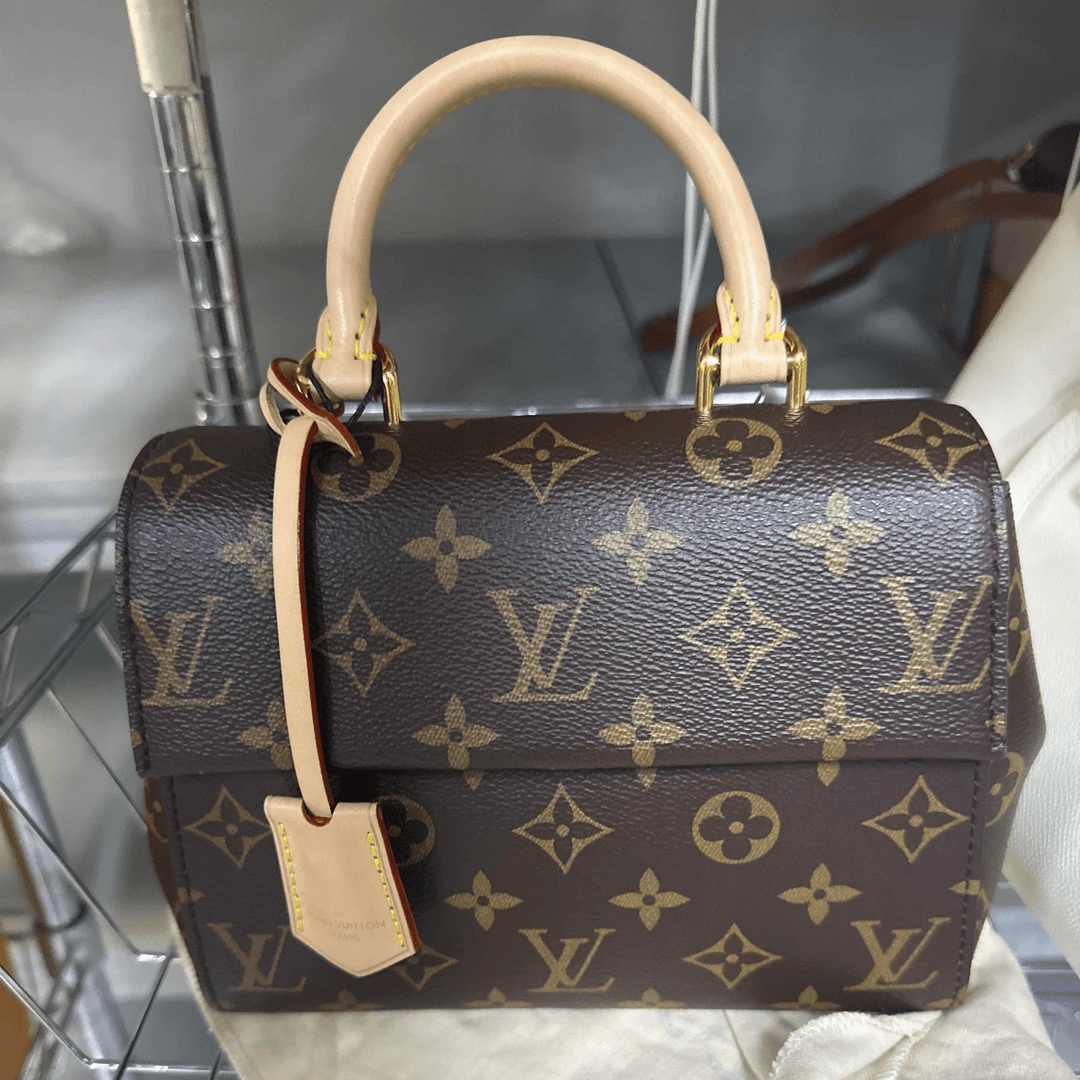 95新 LouisVuitton/路易威登 cluny mini/b17