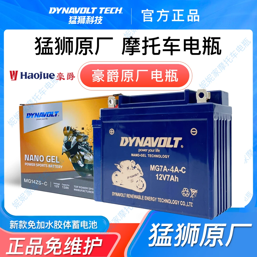 豪爵Dk125 DK150 SHJ125-30 HJ150-30 猛狮摩托车12V通用蓄电池