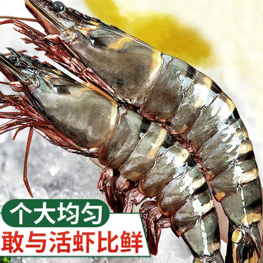【16只】进口黑虎虾 肉质鲜嫩活冻