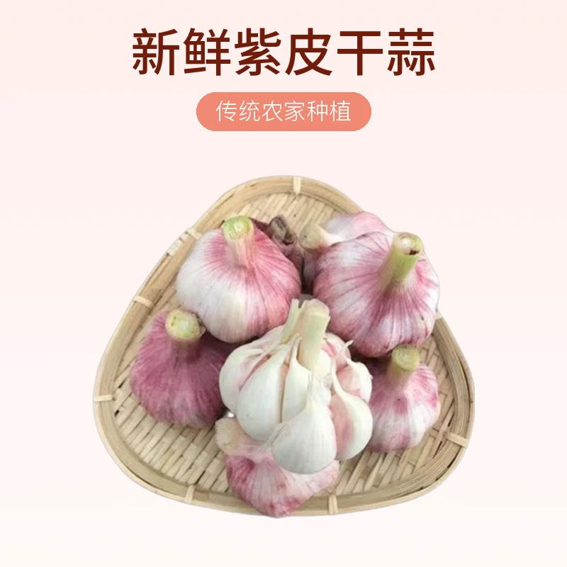 2024河南杞县新鲜紫皮干蒜带箱5斤包邮优质大蒜脆爽自种包赔下单