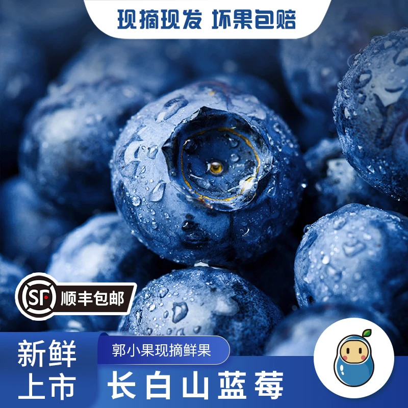 【顺丰空运】带果柄长白山蓝莓丹东产地脆甜多汁新鲜水果高品质现摘