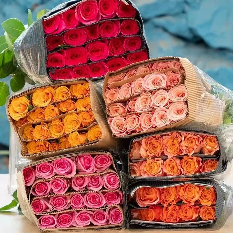 1单中通2单空运包邮-云南鲜花BC级新鲜发货生鲜产品发货后不退换