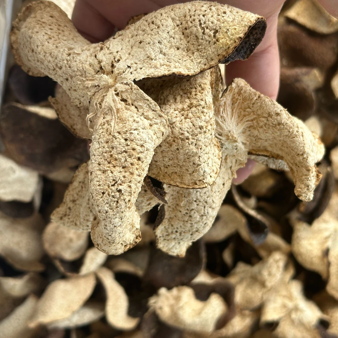 2020年【南坦圈枝】新会陈皮整皮纯干仓存放自然存放香气四溢