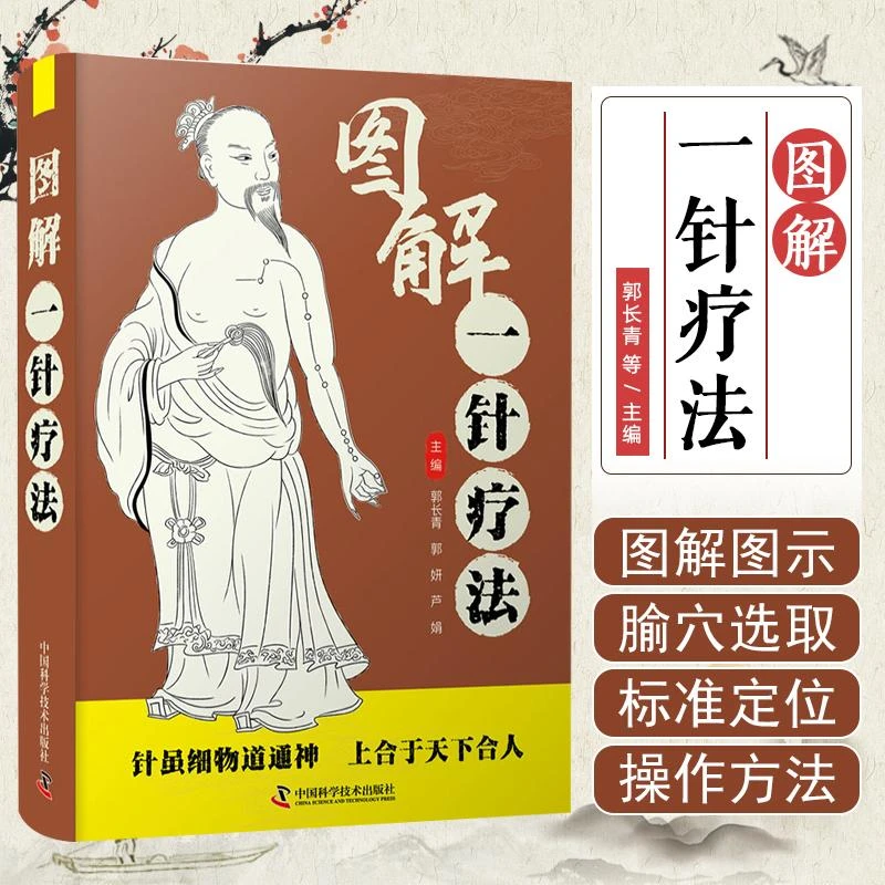 图解一针疗法  中国科学技术出版社  9787504692030