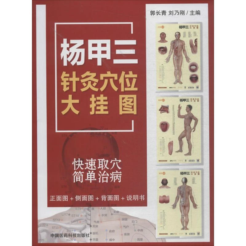 杨甲三针灸穴位大挂图   中国医药科技出版社9787521402179