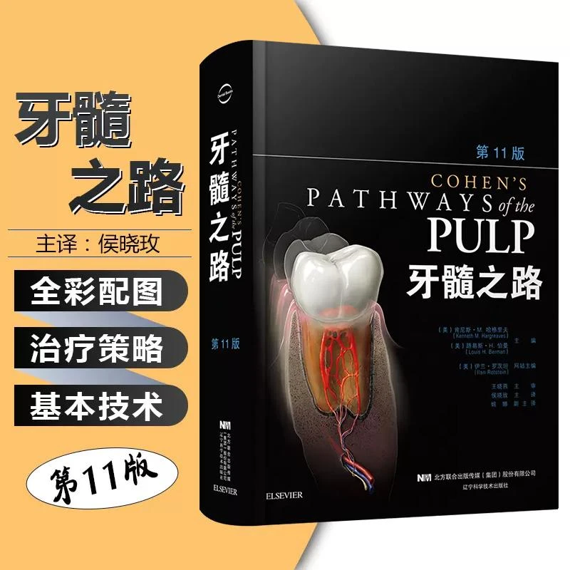 正版 牙髓之路 第11版  辽宁科学技术出版社   9787559107954