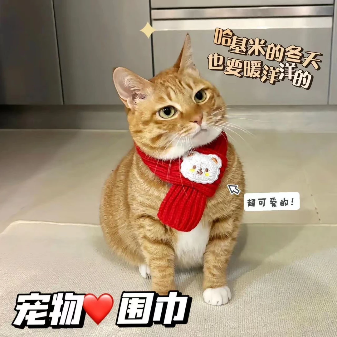 宠物围巾韩版冬天小狗围巾新年配饰宠物用品冬季保暖猫咪围脖喜庆