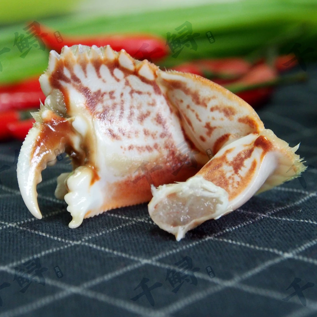 【全规格】元宝蟹钳虎纹蟹脚批发面包蟹钳蟹腿商用福建产地工厂直发