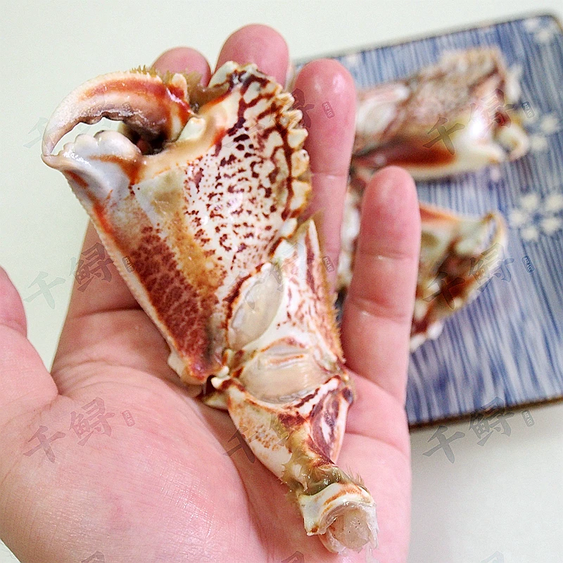 【大号3斤装】元宝蟹钳批发 面包蟹脚蟹腿商用 福建产地 工厂直发