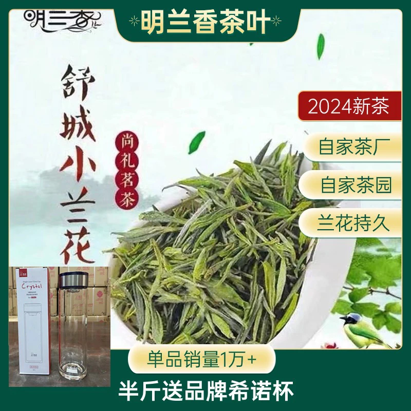明兰香1号2025年头采舒城小兰花新茶自家茶园，