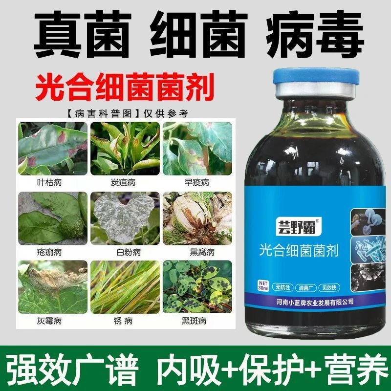 光合细菌菌剂微生物菌剂抗病防病抑菌清菌广无抗性速效快提质增产
