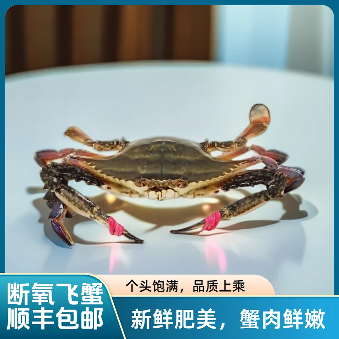 东港断养公母混装飞蟹 【保鲜不保活】2/3/4/5斤  3~7两/只