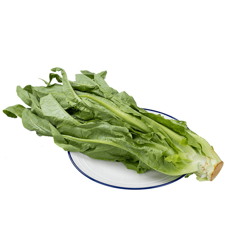 油麦菜 约450-500g