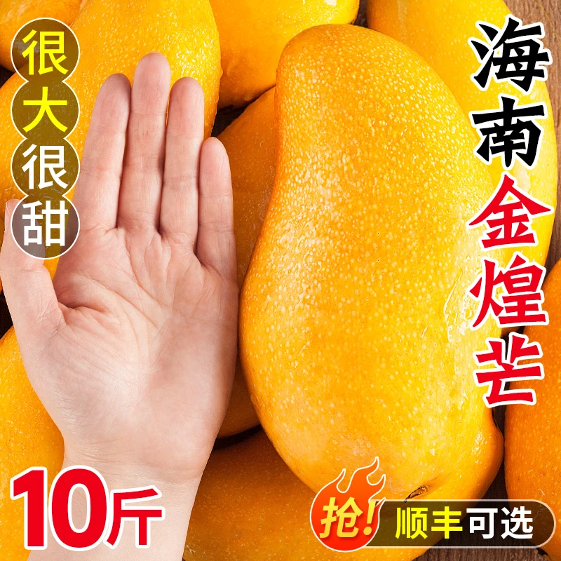 海南金煌芒芒果新鲜10斤正宗当应季现摘热带水仙芒水果甜大果整箱