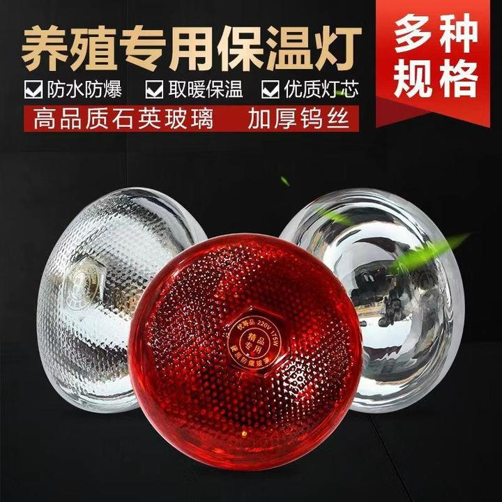 保温灯养殖场专用小鸡育雏保温灯加热取暖烤灯猪场小仔猪用保暖灯